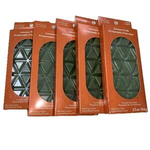 Ashland Scented Wax Melts Autumn Walk Set Of 5 Packs- 2.5oz Ea. 12654